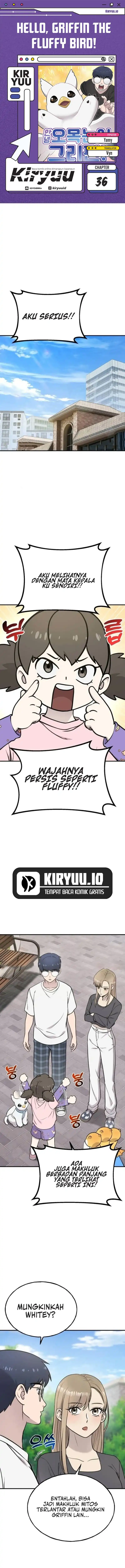 Hello, Fluffy Griffin! Chapter 36 halaman 1
