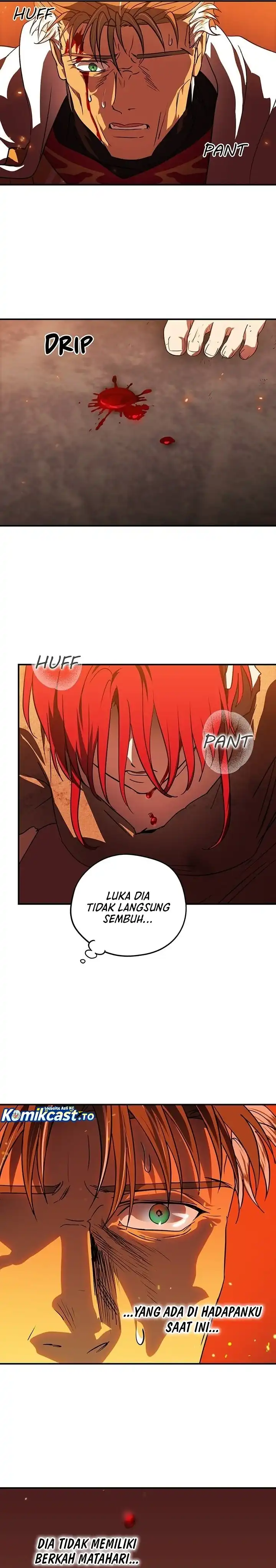 Blinded by the Setting Sun Chapter 203 halaman 15