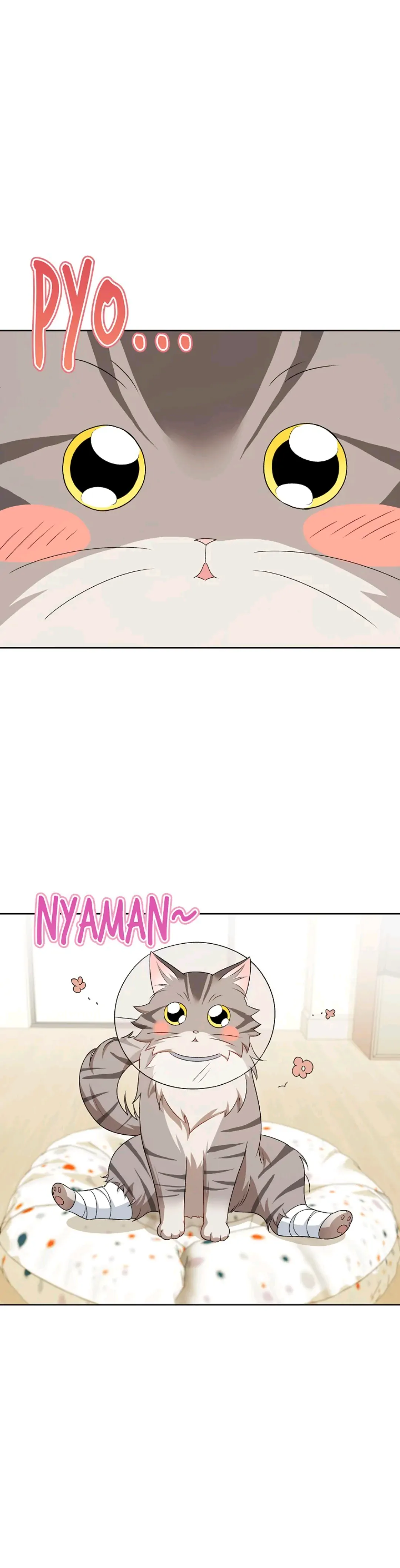 Hello? Veterinarian! Chapter 15 halaman 18