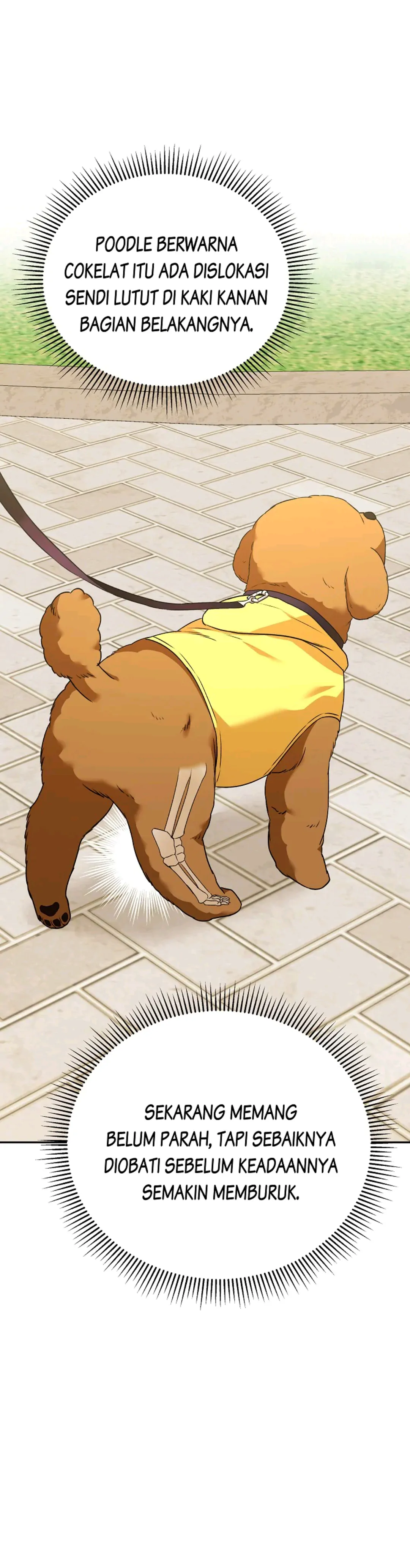 Hello? Veterinarian! Chapter 31 halaman 10