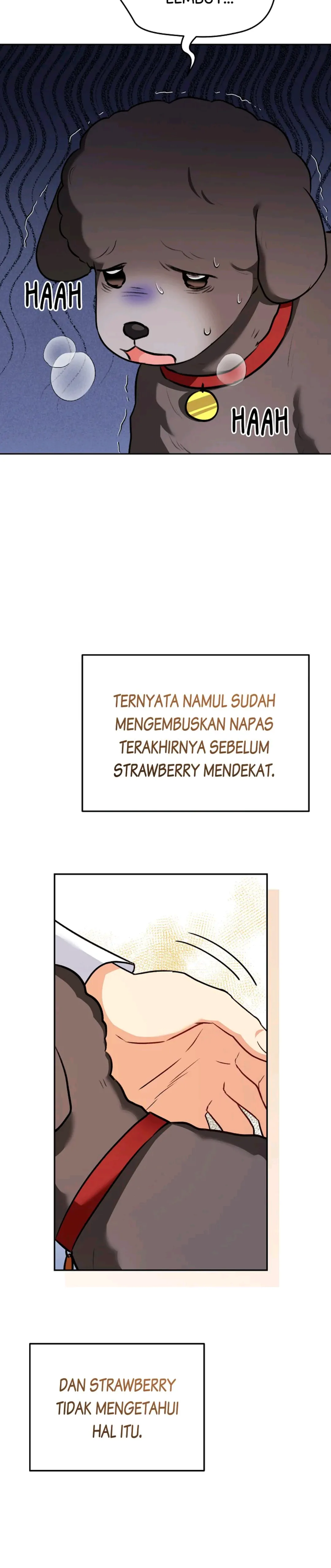 Hello? Veterinarian! Chapter 34 halaman 15