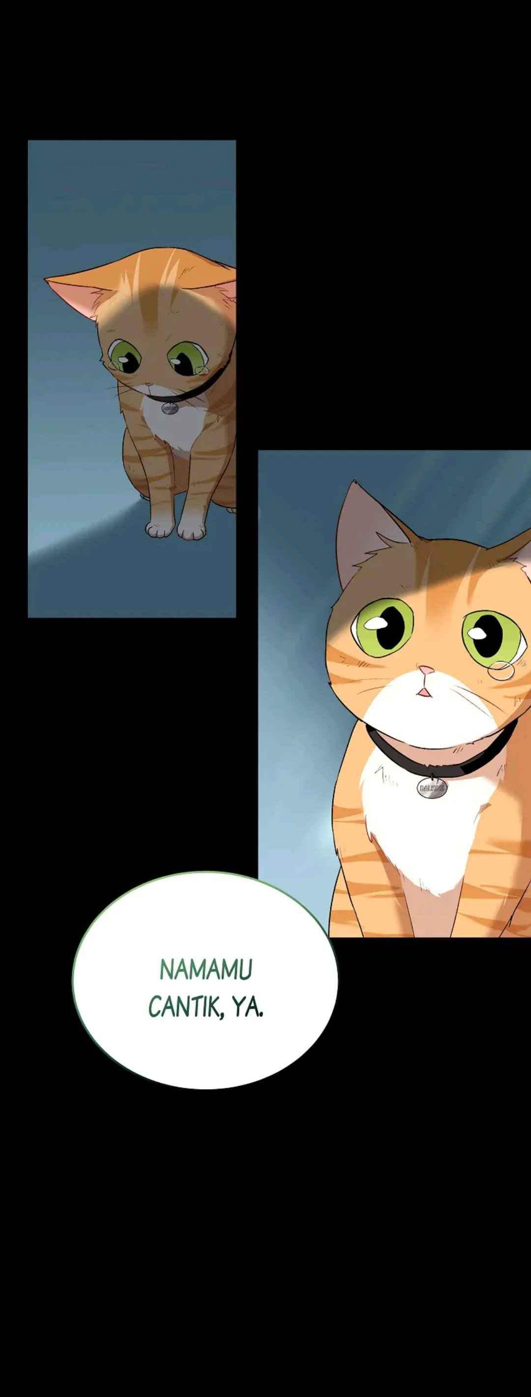 Hello? Veterinarian! Chapter 7 halaman 22