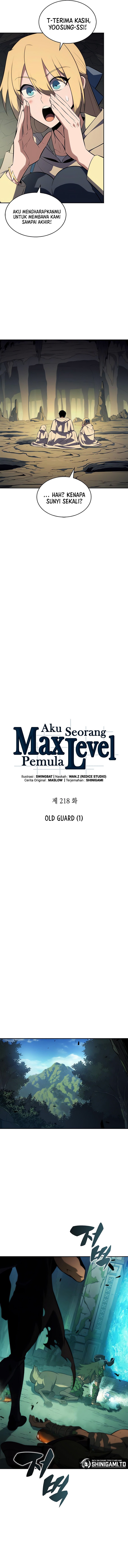 Solo Max-Level Newbie Chapter 218 halaman 2