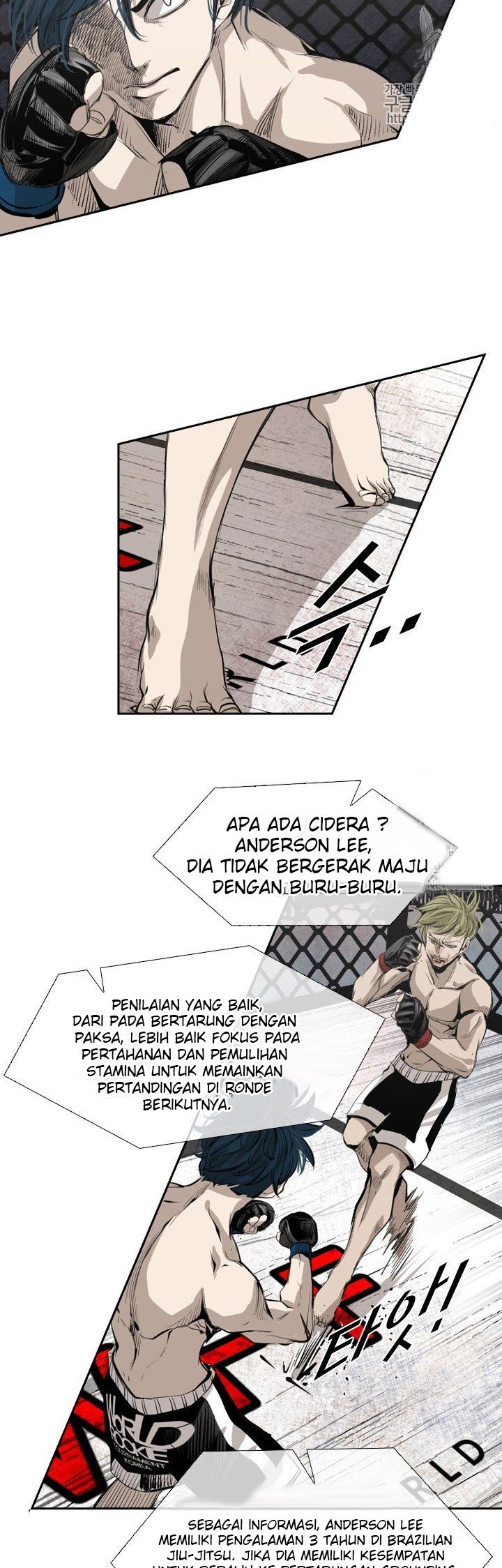 Shark Chapter 143 halaman 13