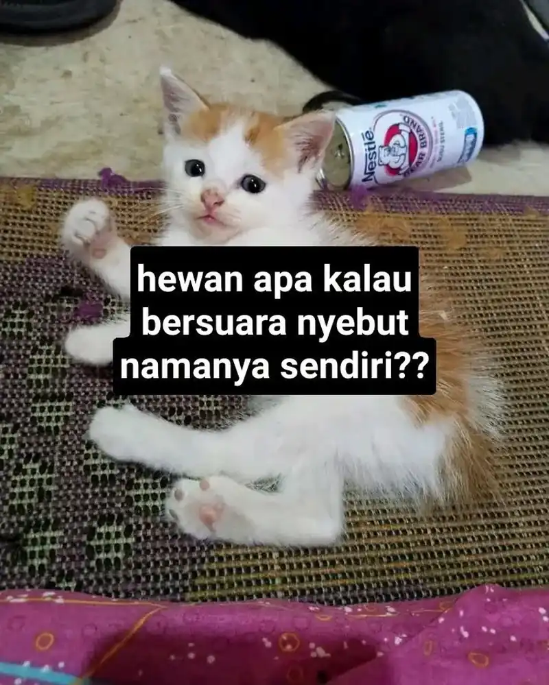 The Classmate Chapter 11 halaman 44