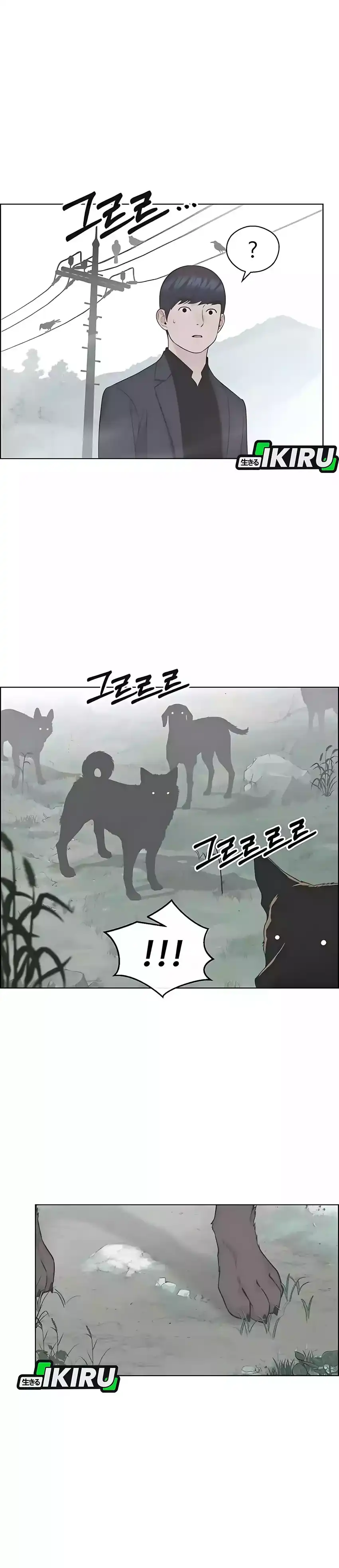 The Man Chapter 247 halaman 31