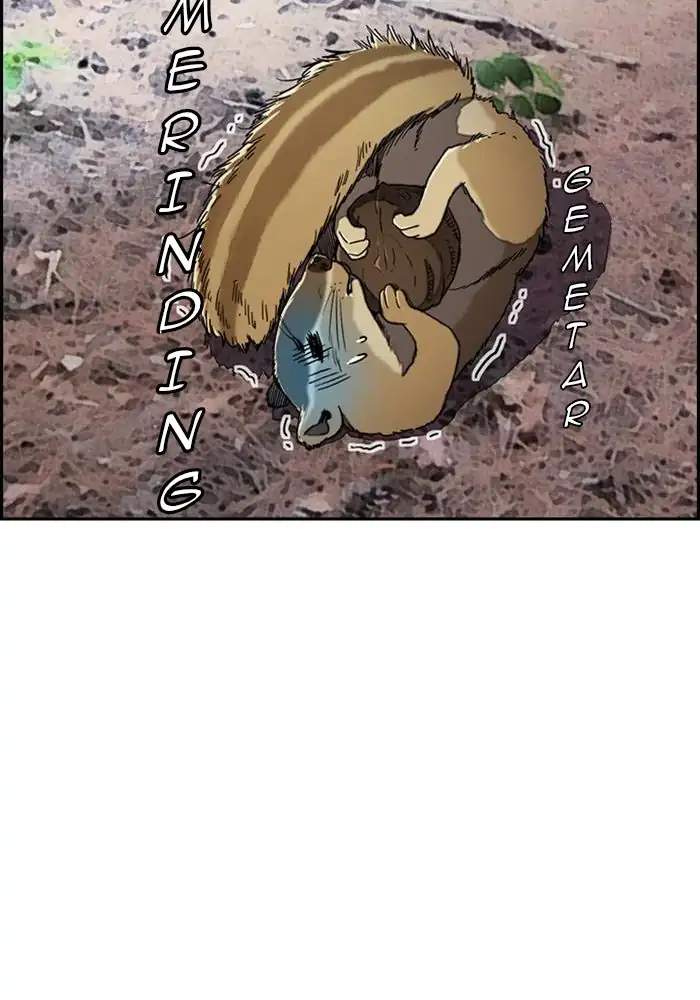 Wind Breaker Chapter 260 halaman 36