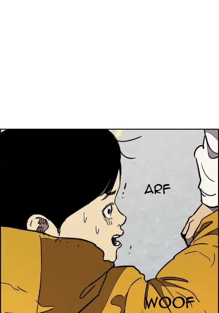 Wind Breaker Chapter 276 halaman 81