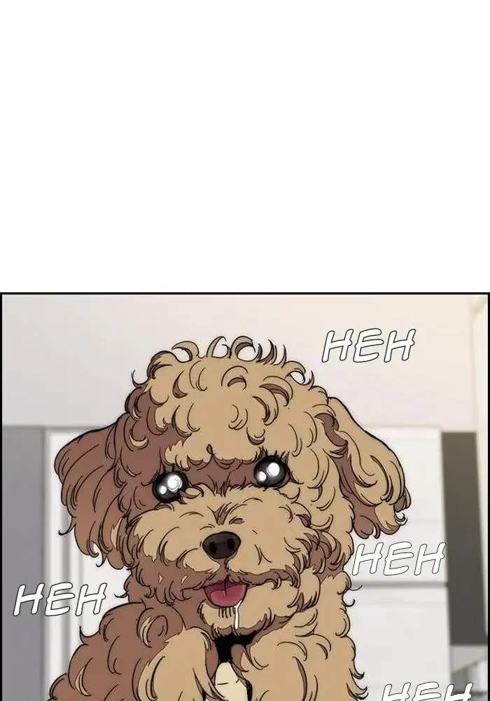 Wind Breaker Chapter 319 halaman 100