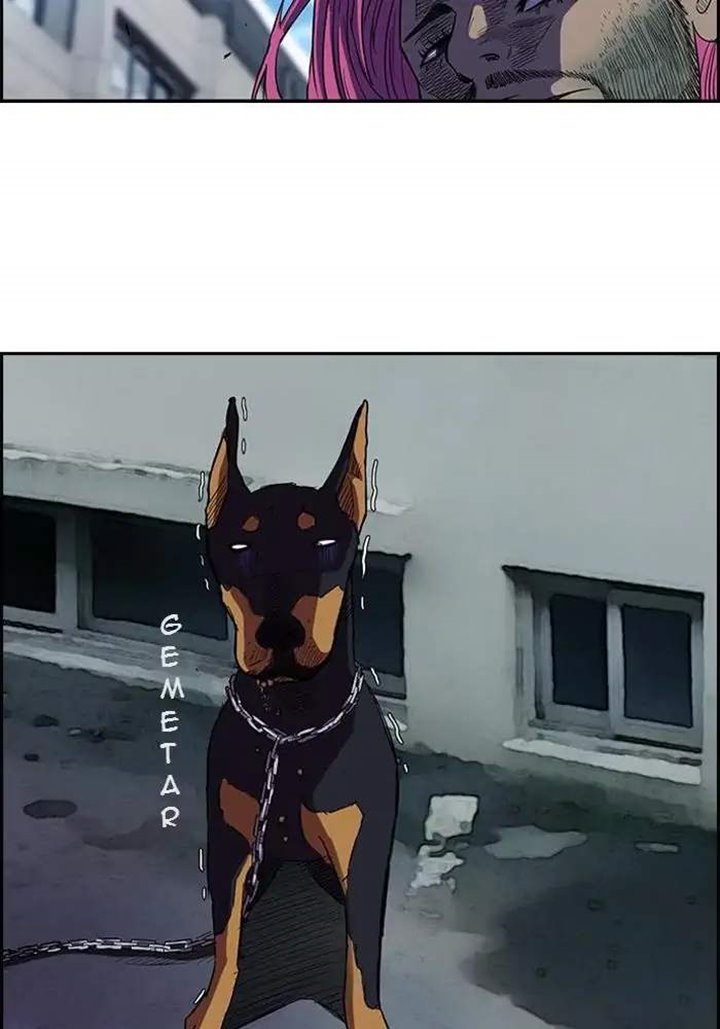 Wind Breaker Chapter 61 halaman 37