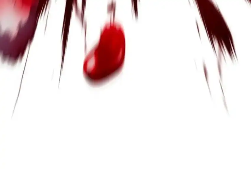 Plaything Chapter 66 halaman 323