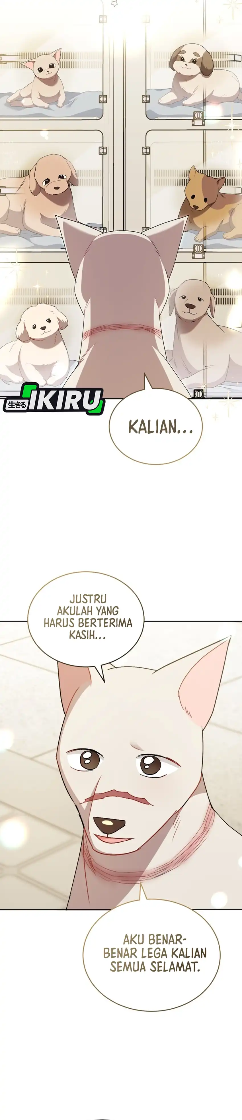 Hello? Veterinarian! Chapter 120 halaman 17