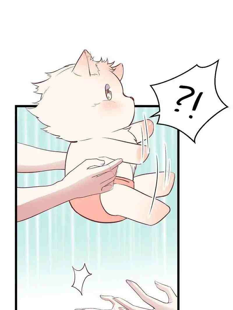 Beauty and the Beasts Chapter 71 halaman 13