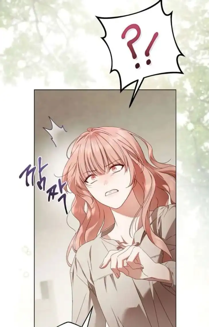The Count’s Secret Maid Chapter 53 halaman 33