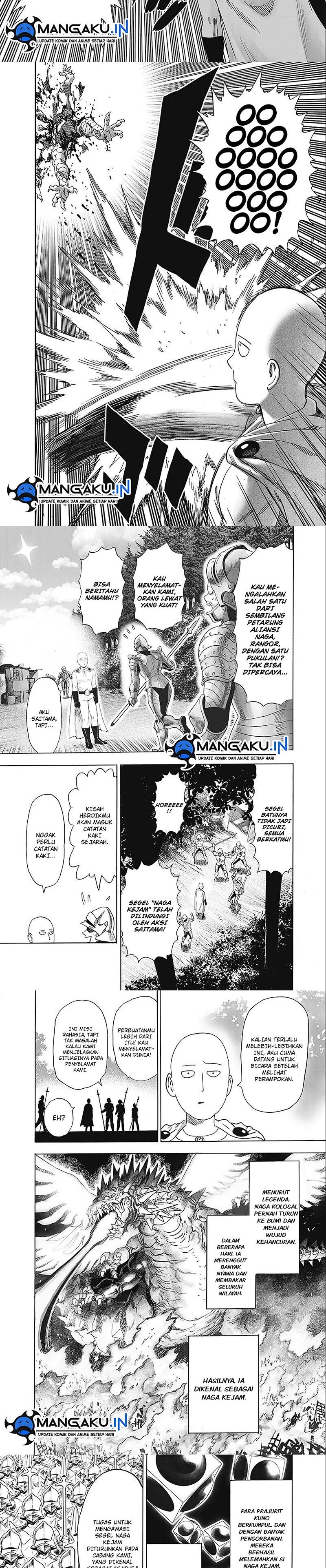 One Punch Man Chapter 243