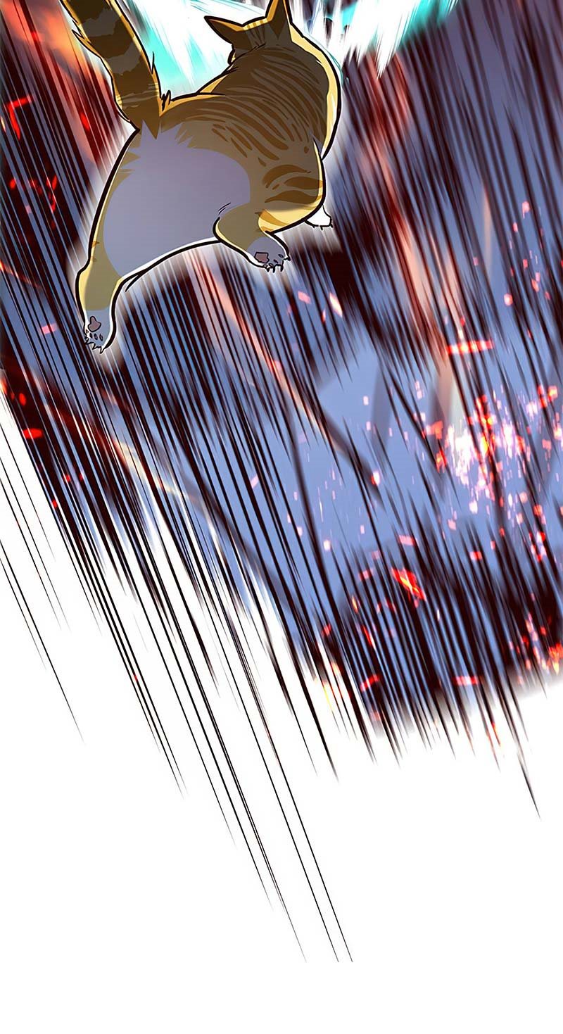 Eleceed Chapter 163 halaman 43