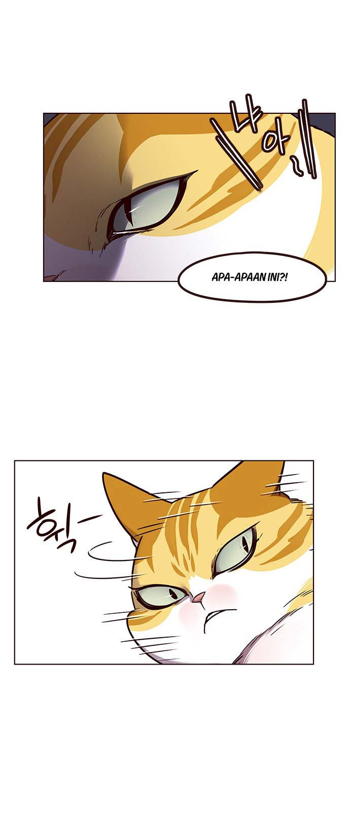 Eleceed Chapter 58 halaman 5