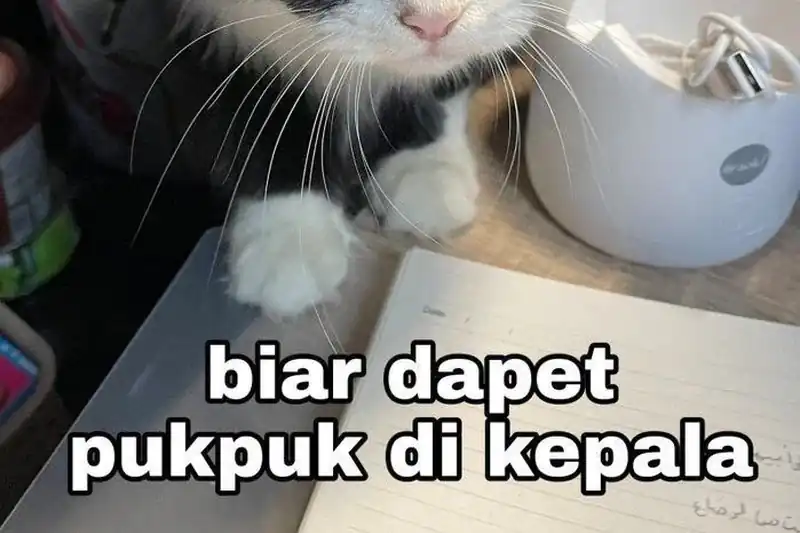 Past Life Regressor (Remake 2022) Chapter 169 halaman 47