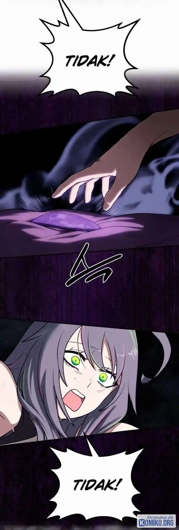 Perhaps Invincible Chapter 68 halaman 65